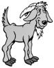 Solstice Goat\'s Avatar