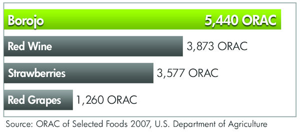 ORAC.jpg